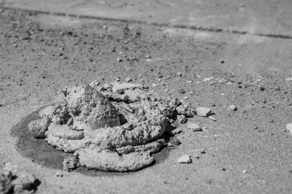Cost of Concrete Slabjacking in Lynnwood