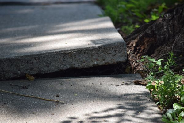 Cost of Concrete Slab Leveling in Lynnwood